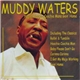 Muddy Waters - You're Hoochie Coochie Mans Goin' Home